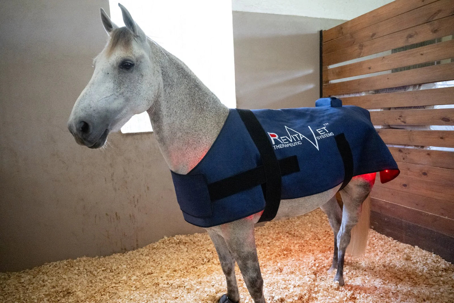RevitaVet™Infrared Blanket
