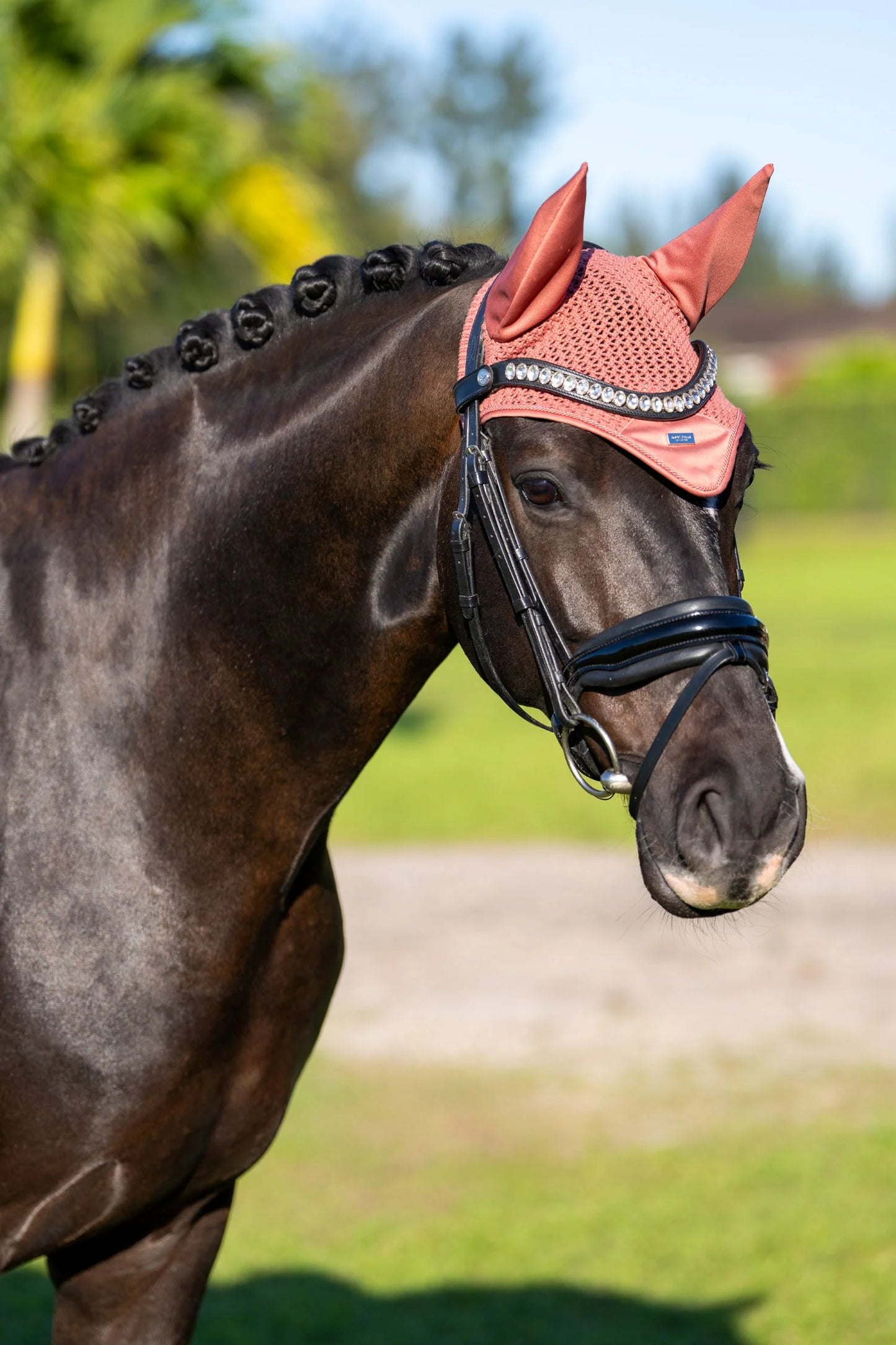 Equestrian Stockholm Ear Bonnet Modern Coral