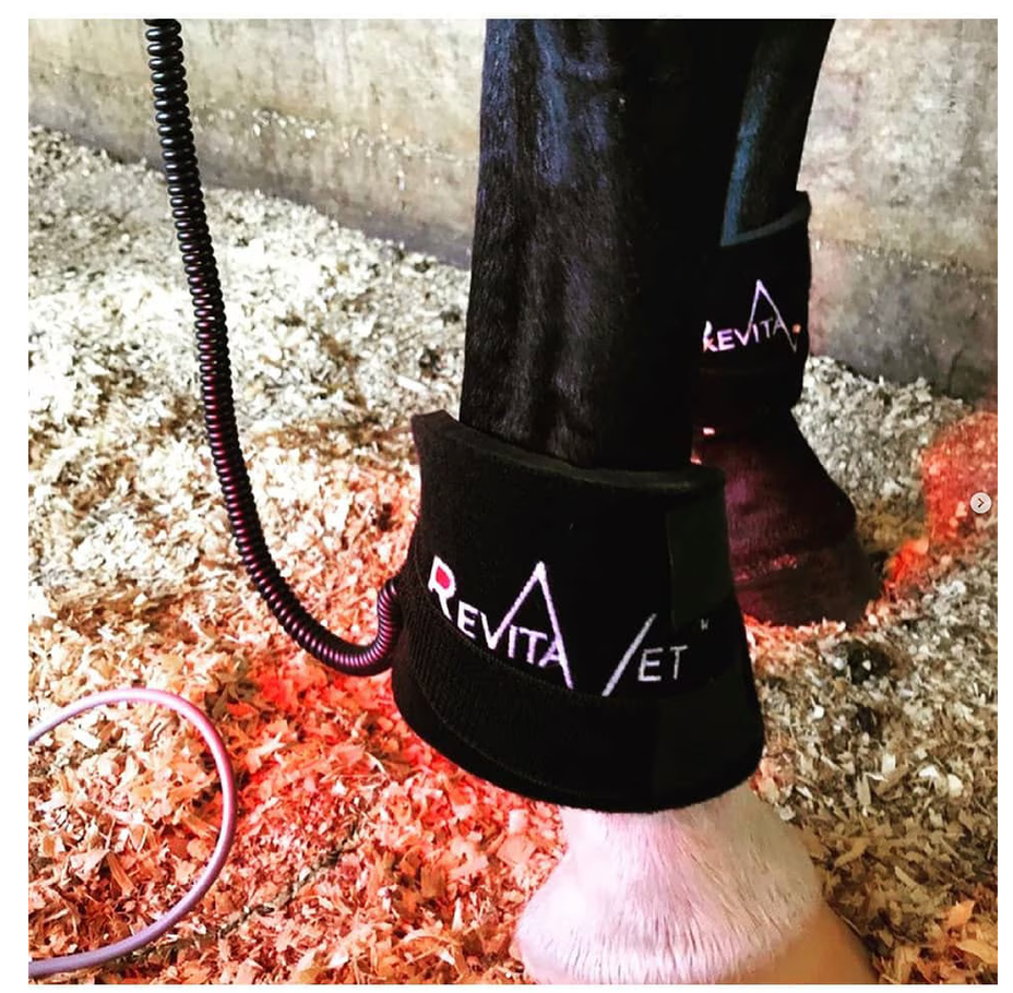RevitaVet™ IR2