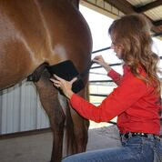 RevitaVet™ Tendon Saver