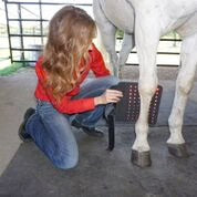 RevitaVet™ Tendon Saver