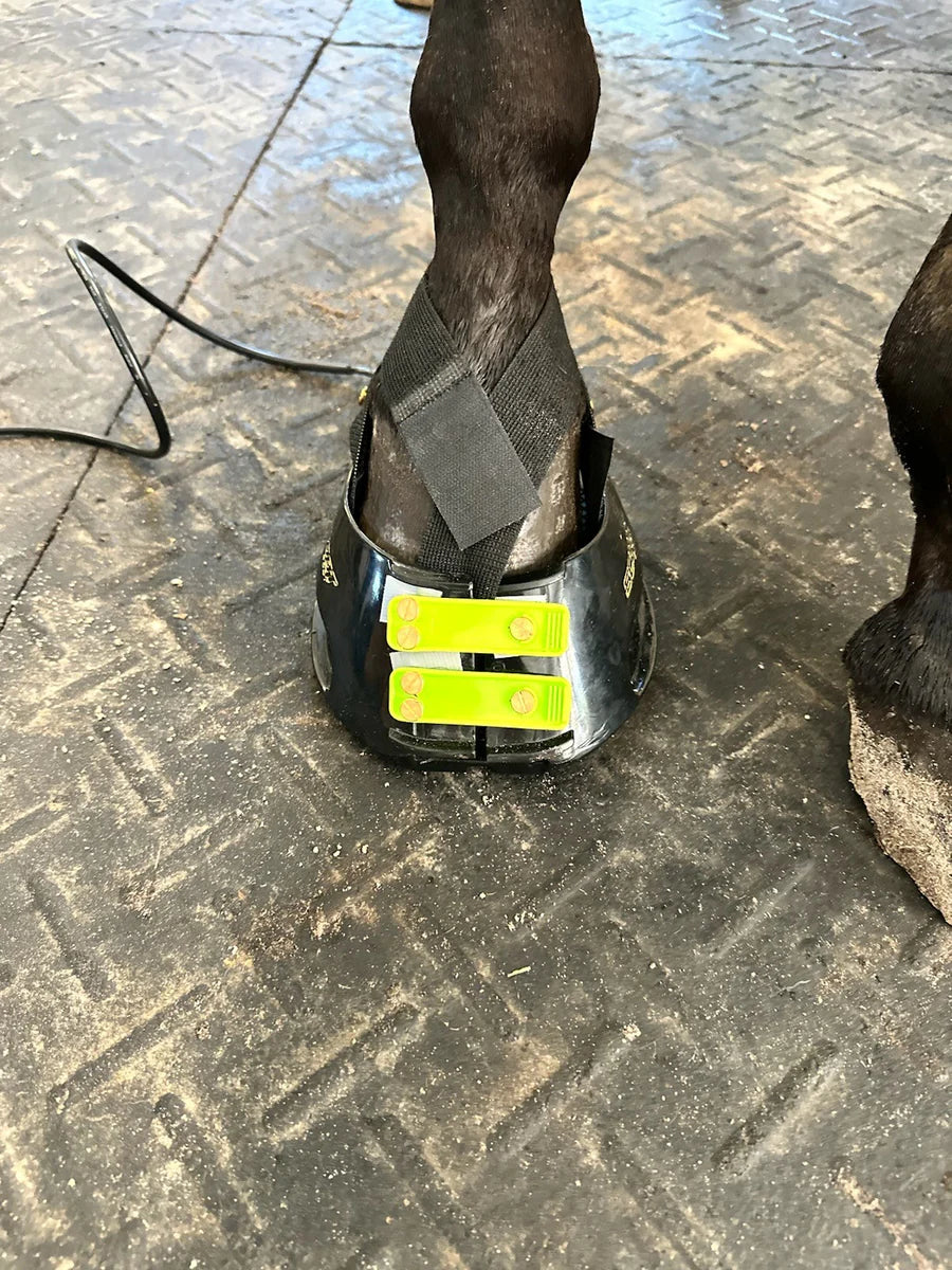 RevitaVet™ Hoof Pad Complete