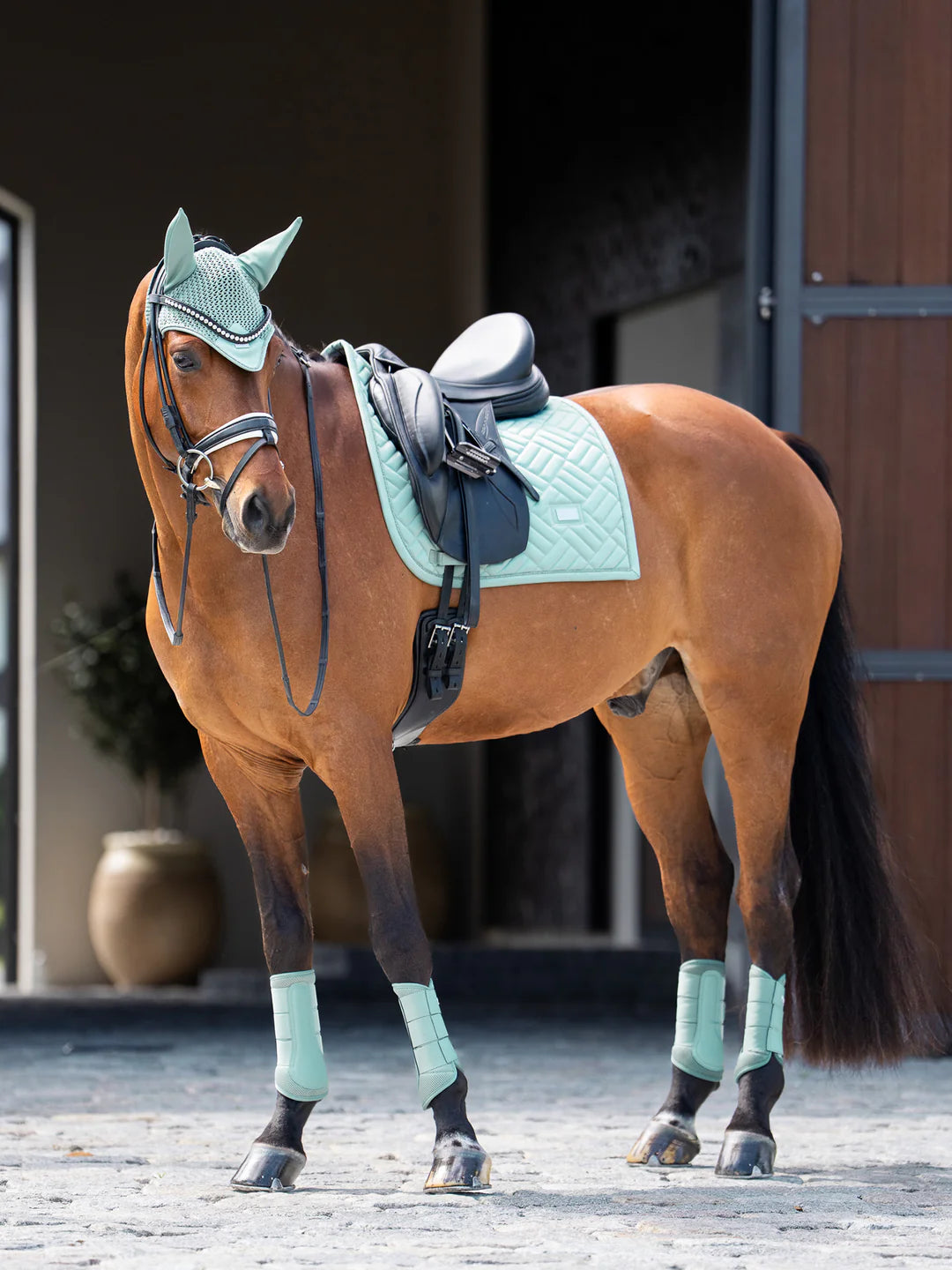 Equestrian Stockholm Ear Bonnet Modern Mint Green