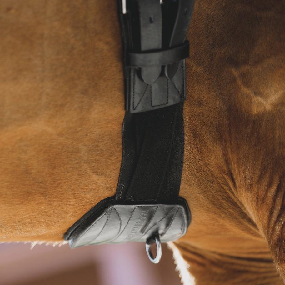 Tapestry Comfort Dressage Girth in Black
