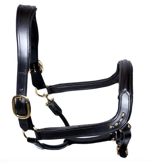 Bridleberry Black Leather Show Halter