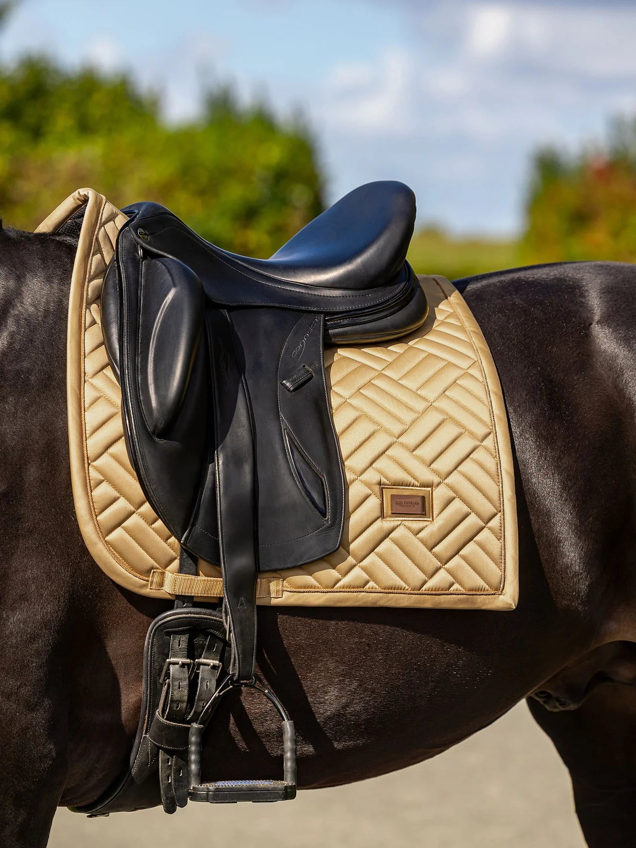 Equestrian Stockholm Modern Midsummer Glow
