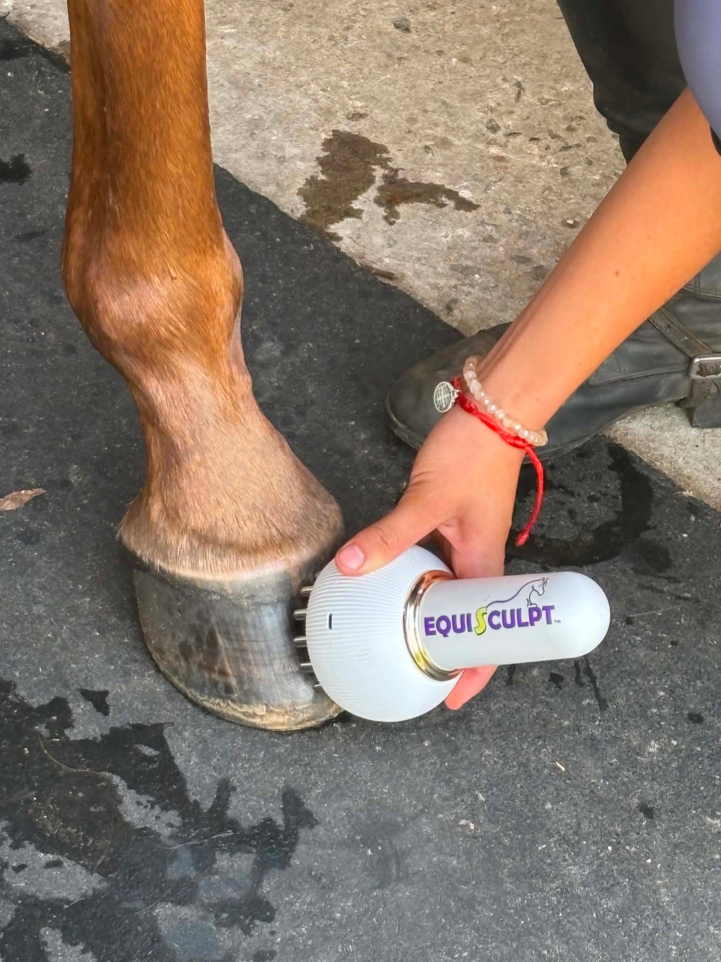 Equisculpt NEO Cordless PEMF Plus Infrared