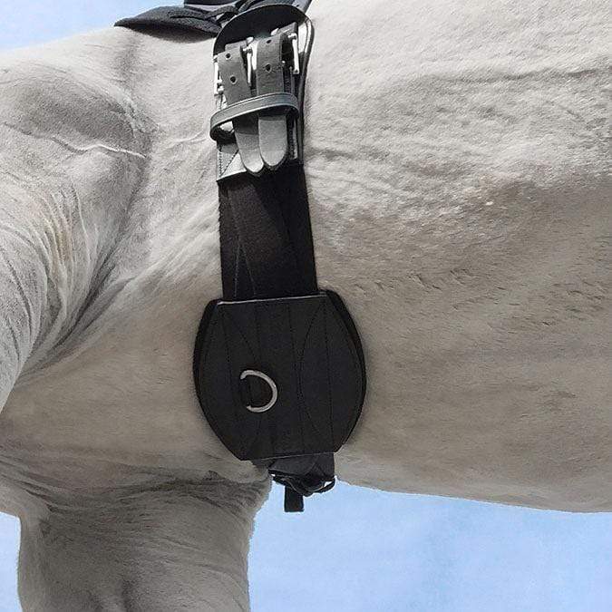 Tapestry Comfort Dressage Girth in Black